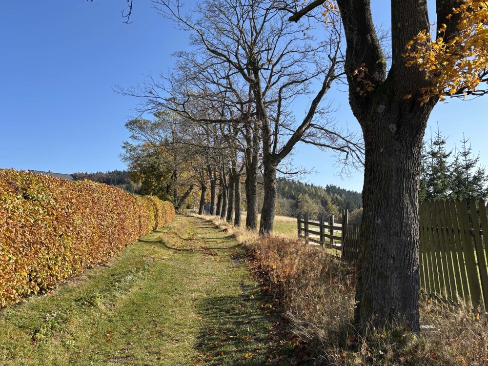 Stavební pozemek 1284 m² v Příchovicích u Kořenova